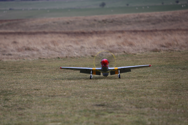 P51_Mustang_Red_Tail