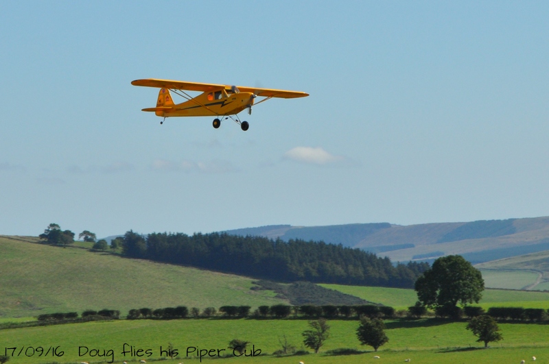 pipercub