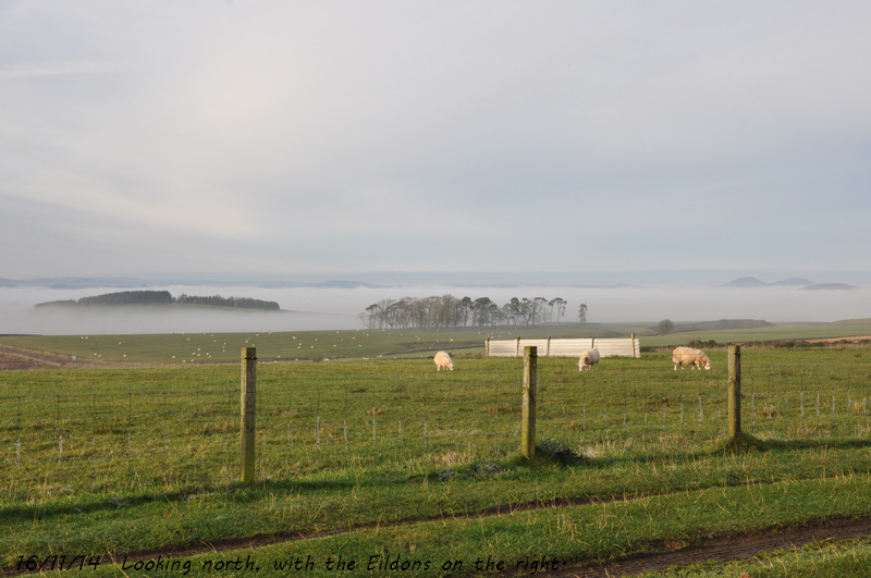 eildon fog