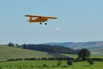 pipercub