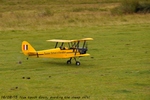 tiger moth